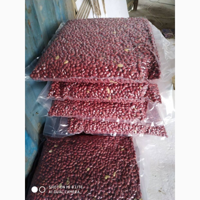 Фото 3. Ядро арахиса из Узбекистана