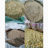 Продам крупу: ячневую, пшеничную, перловку, горох, пшено