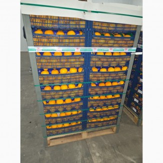 Продам турецкий мандарин