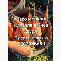 Продам морковь абаку