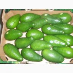 Овощи, фрукты, цитрусовые и свежая зелень из Израиля