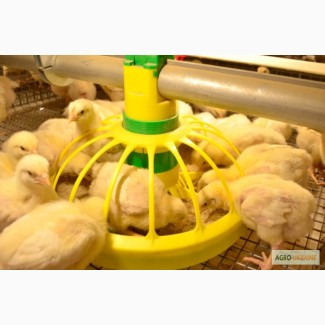 Комбикорм Старт для цыплят бройлера от 0 до 14 дней
