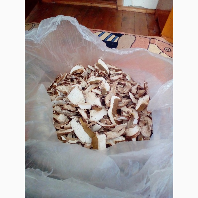 Фото 8. Продам осінній сушений білий гриб хорошої якості