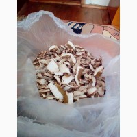 Продам осінній сушений білий гриб хорошої якості