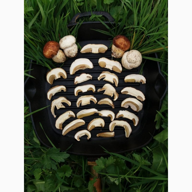 Фото 9. Продам осінній сушений білий гриб хорошої якості