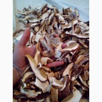 Продам осінній сушений білий гриб хорошої якості