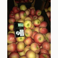 СОЧНОпродам яблука