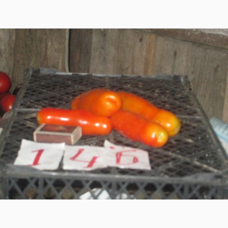 Фото 2. Продажа семян помидоров на любой вкус (более 1000 сортов)