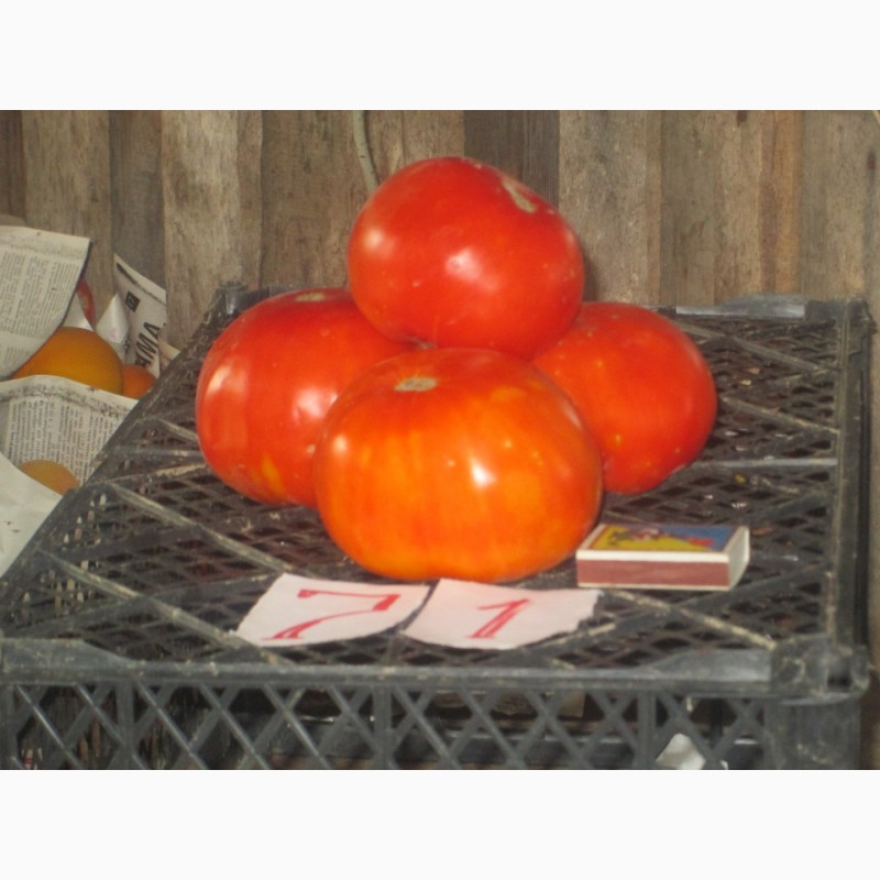 Фото 5. Продажа семян помидоров на любой вкус (более 1000 сортов)