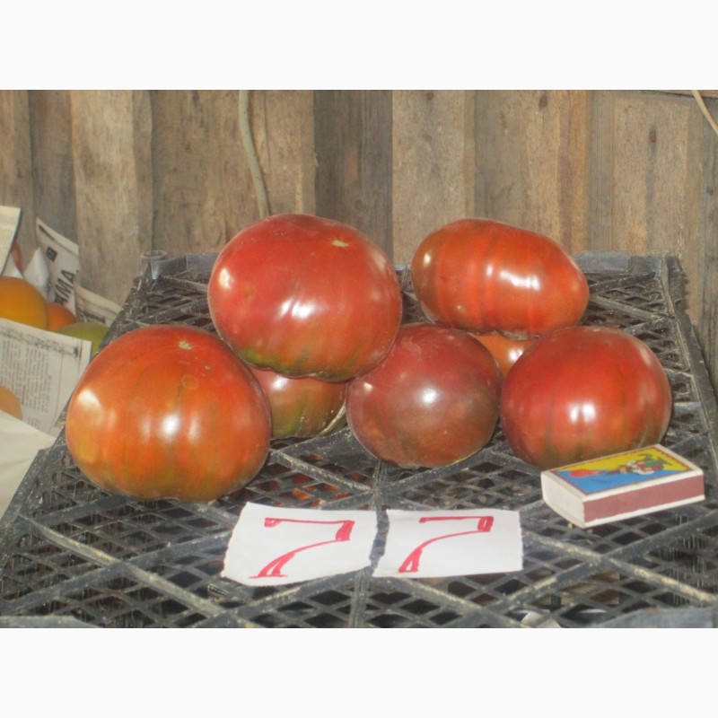 Фото 6. Продажа семян помидоров на любой вкус (более 1000 сортов)