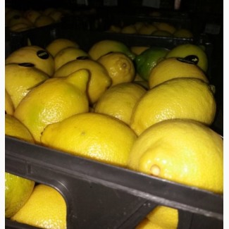 Продам Лимон