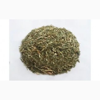 Люцерна (трава) фасовка от 100 грамм - 1 кг