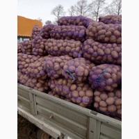 Продам картоплю товарну є різні сорти