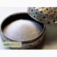 Агрофірма Луга-Нова реалізує цукор