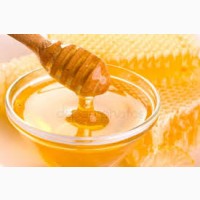Компания продает мед на экспорт. На рынке с 1993 года
