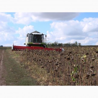 Услуги по уборке подсолнуха кукурузы сои Днепр обработка земли посев