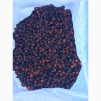 Продам сухие плоды шиповника темно-красного цвета, боярышник урожай 2019