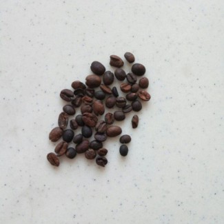 Кофе зерно (Италия) Импорт
