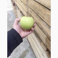 Продам яблука з холодильника