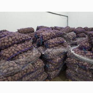 Продається картопля зі складу різніх сортів