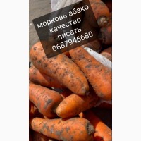 Продам морковь абако и боливар качества сетевое