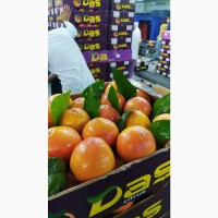 Продам грейпфрут Турция