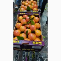 Продам грейпфрут Турция