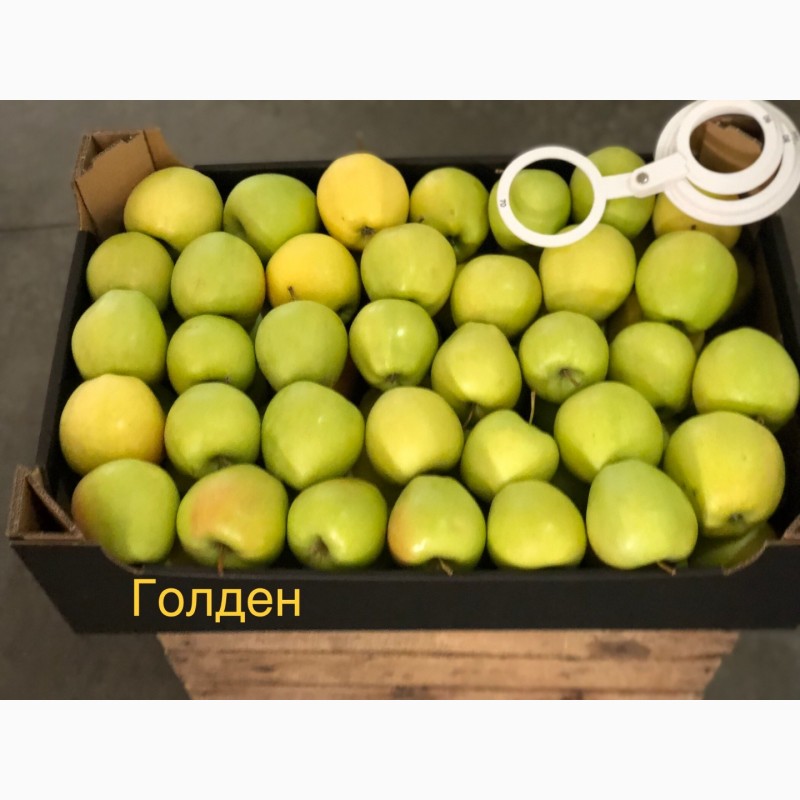 Фото 8. Яблука продажа. Опт. Холодильник смарт фреш