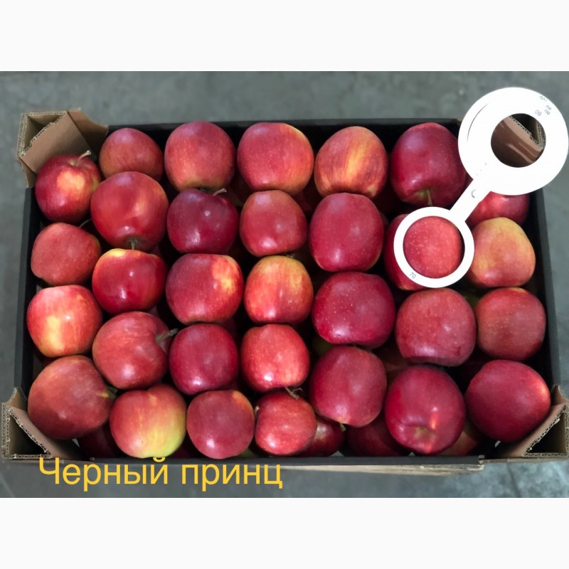 Фото 10. Яблука продажа. Опт. Холодильник смарт фреш