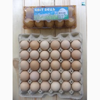 Яйця курячі ТМ Світ яєць Київ С1 в ПЕТ. Білі кремові коричневі