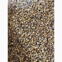 Кукурудза горох соя нут зернові відходи від 20 тон