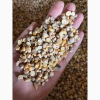 Кукурудза горох соя нут зернові відходи від 20 тон