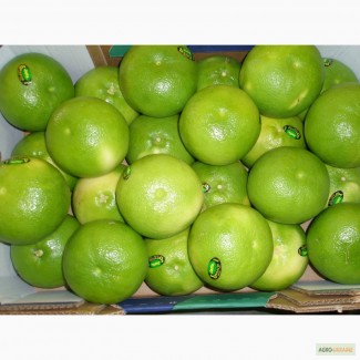 Овощи, фрукты, цитрус, свежая зелень из Израиля