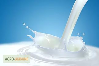 Фото 3. Продам Молоко молочные продукты