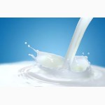 Продам Молоко молочные продукты