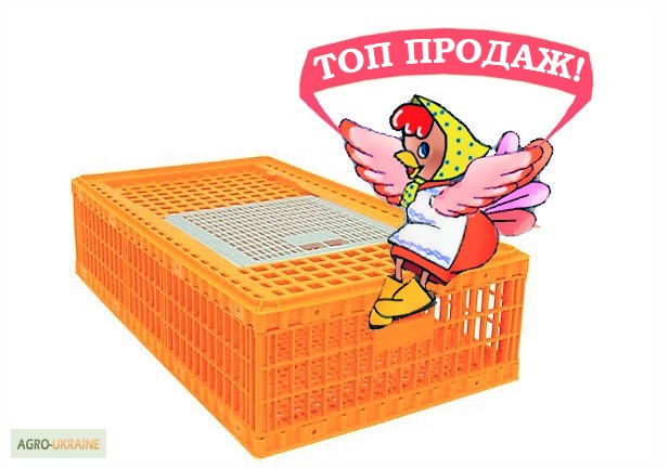 Ящик для транспортировки птицы
