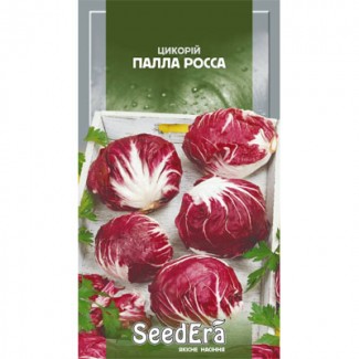 Семена цикория, интернет-магазин UAгород г.Киев