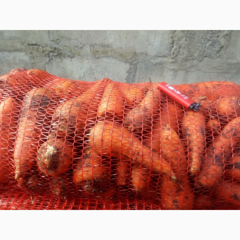 Фото 2. Продам морковь, сортов Абако, Каратель