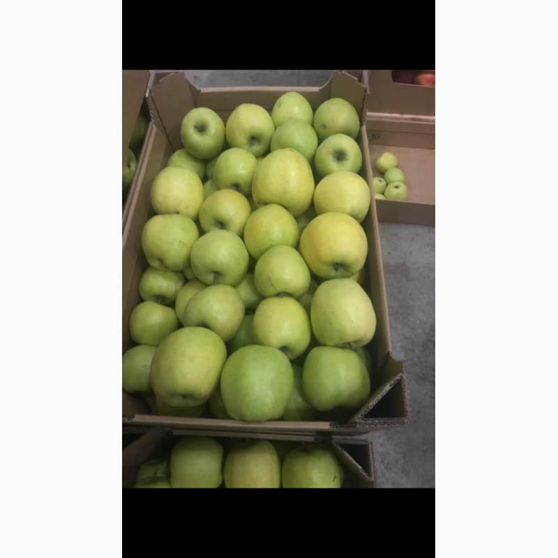 Фото 3. Яблоки різних сортів. Smart fresh