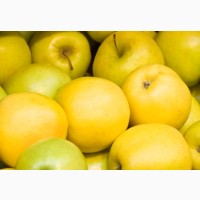 Продажа крупных яблок с огромного сада (лучшая цена и качество)