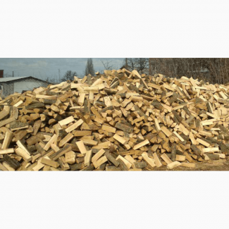 Продаж твердого палива дрова в Горохові недорого