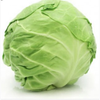 Продам Капусту на экспорт. Cabbage from Ukraine