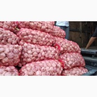 Продам чеснок от поставщика с Узбекистана от 20 тонн. 100 % предоплата