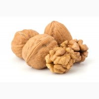 Walnut for sale / Cheap organic walnut