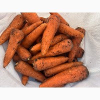 Продам моркву морковь абако