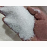 Продам цукор власного виробництва ТОВ «Шамраївський цукор» 2021 р