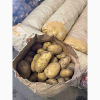 Продам молодую картошку ( )