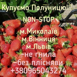 Купуємо полуницю