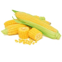 Продам кукурудзу 200 тонн, Вінницька обл, Бар