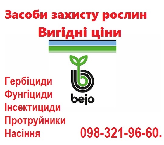Продам фирменные качественные семена овощей - недорого, Bejo, Vilmorin, Никерсон цваан